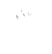 Hello Flower | Sakarya – Adapazarı 7/24 Çiçek Hizmeti